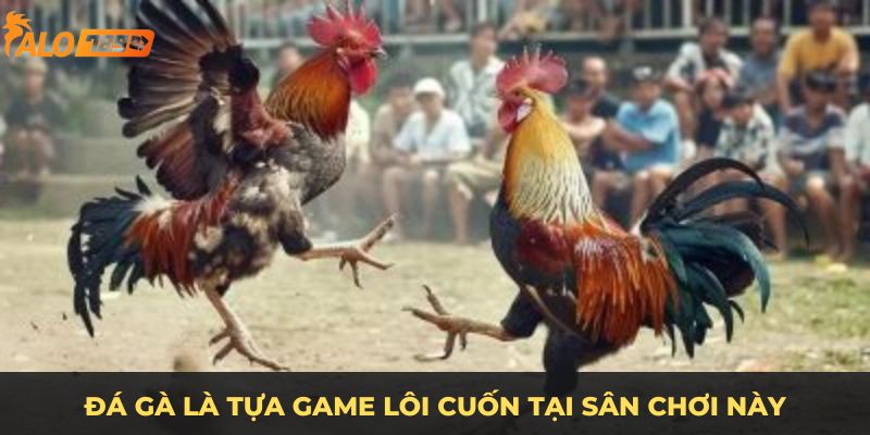 Đá gà là tựa game lôi cuốn tại sân chơi này